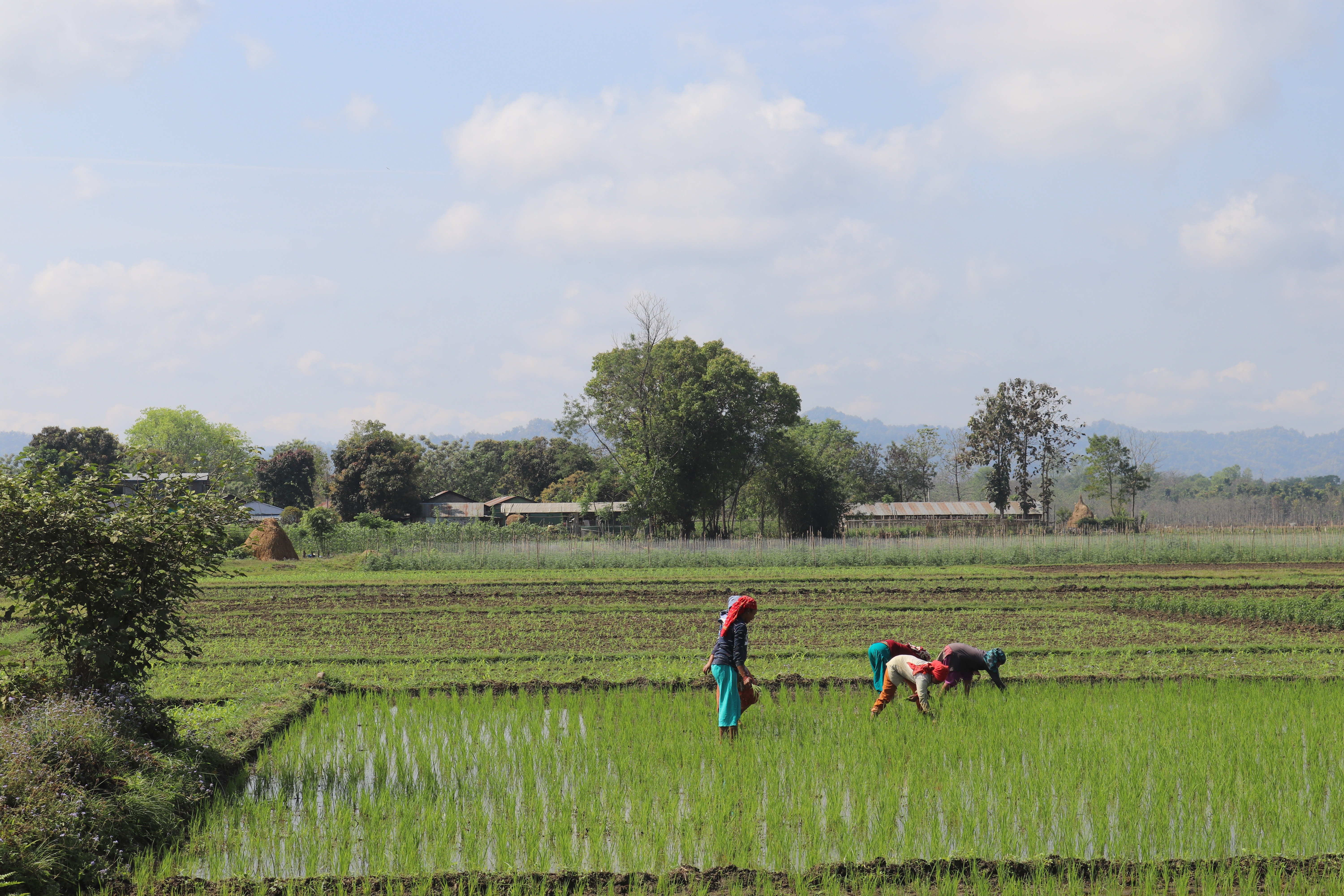 Scenic Rural Journey