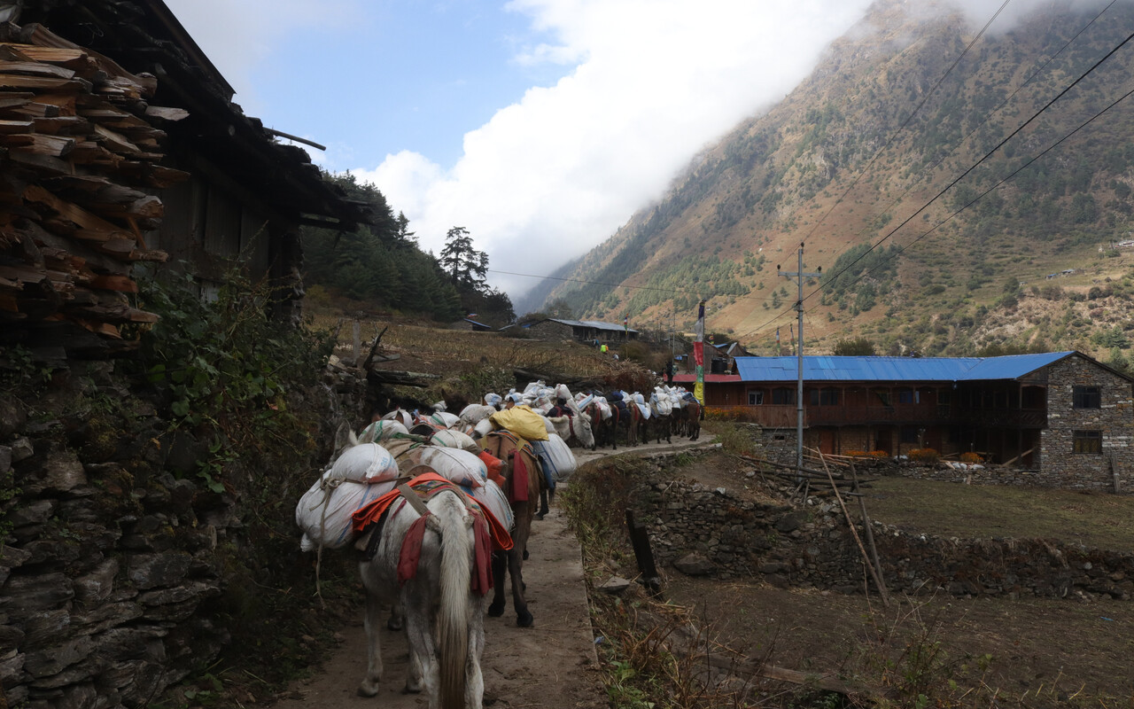 Scenic Rural Journey